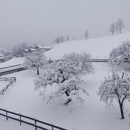Landidyll Am Thiersee Exteriör bild
