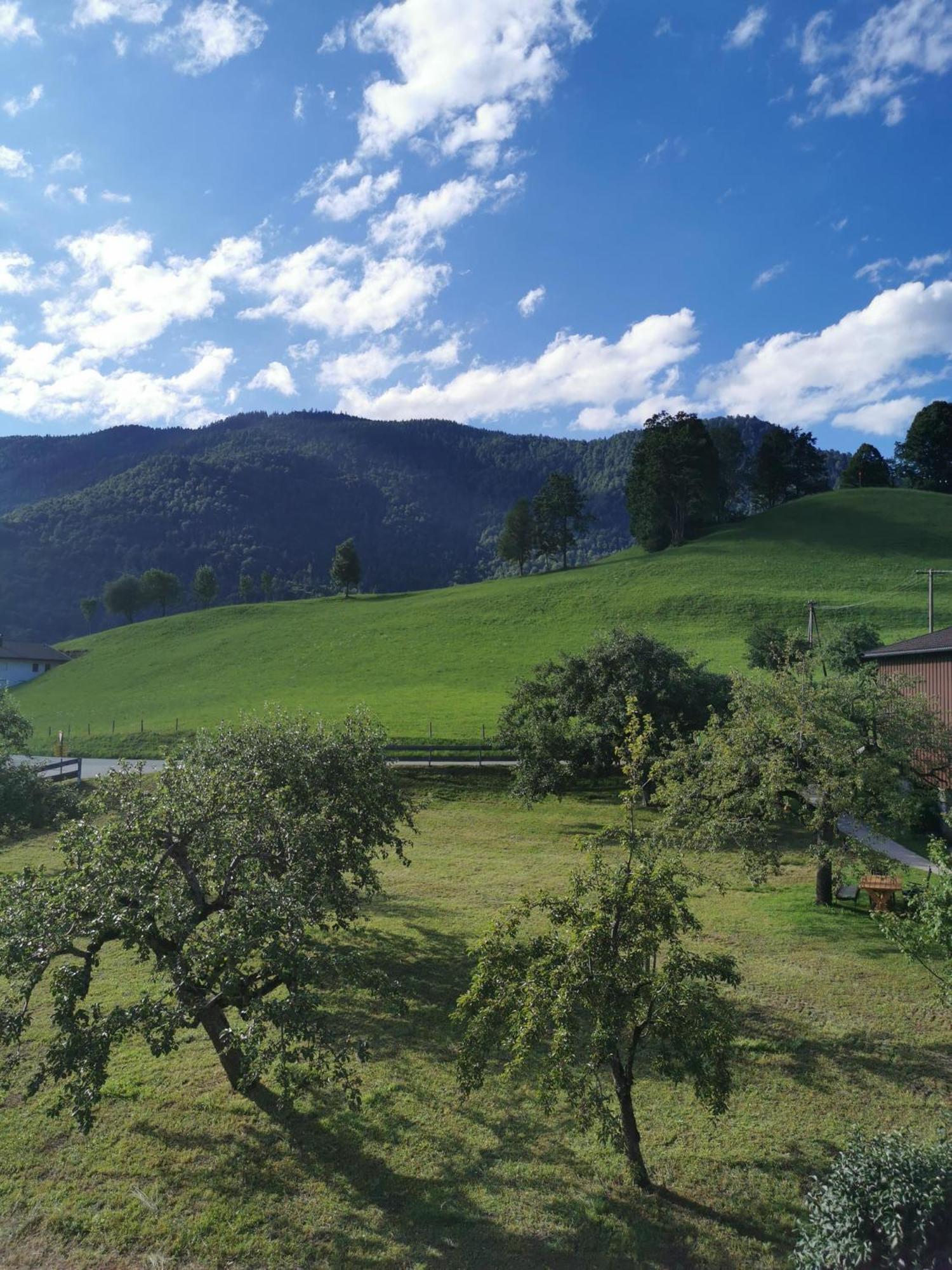 Landidyll Am Thiersee Exteriör bild
