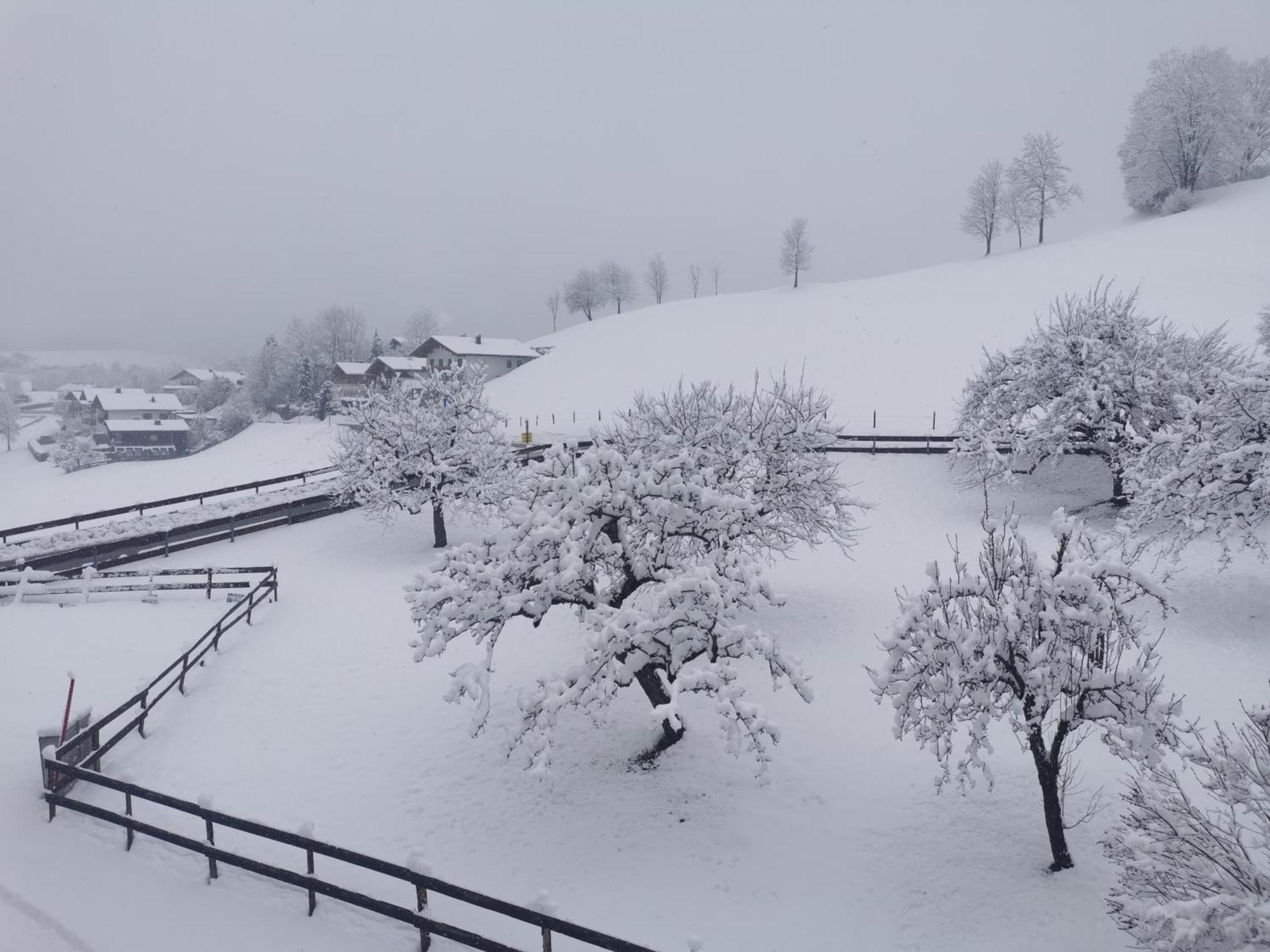 Landidyll Am Thiersee Exteriör bild
